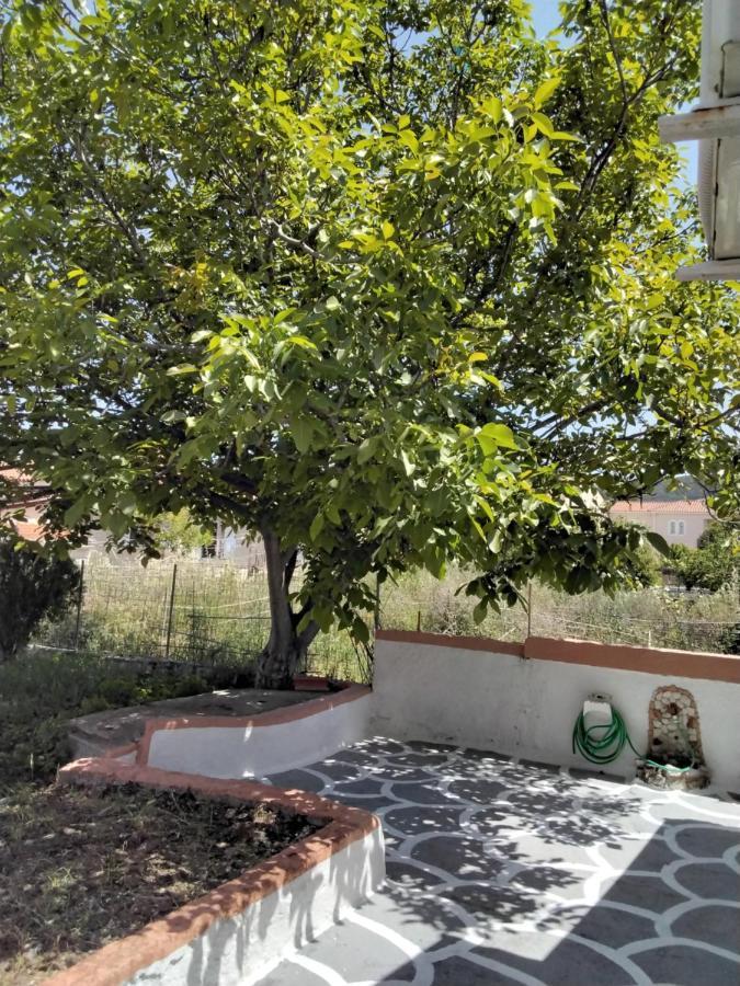 Ralloy Hoyse Sami (Kefalonia) Exterior foto